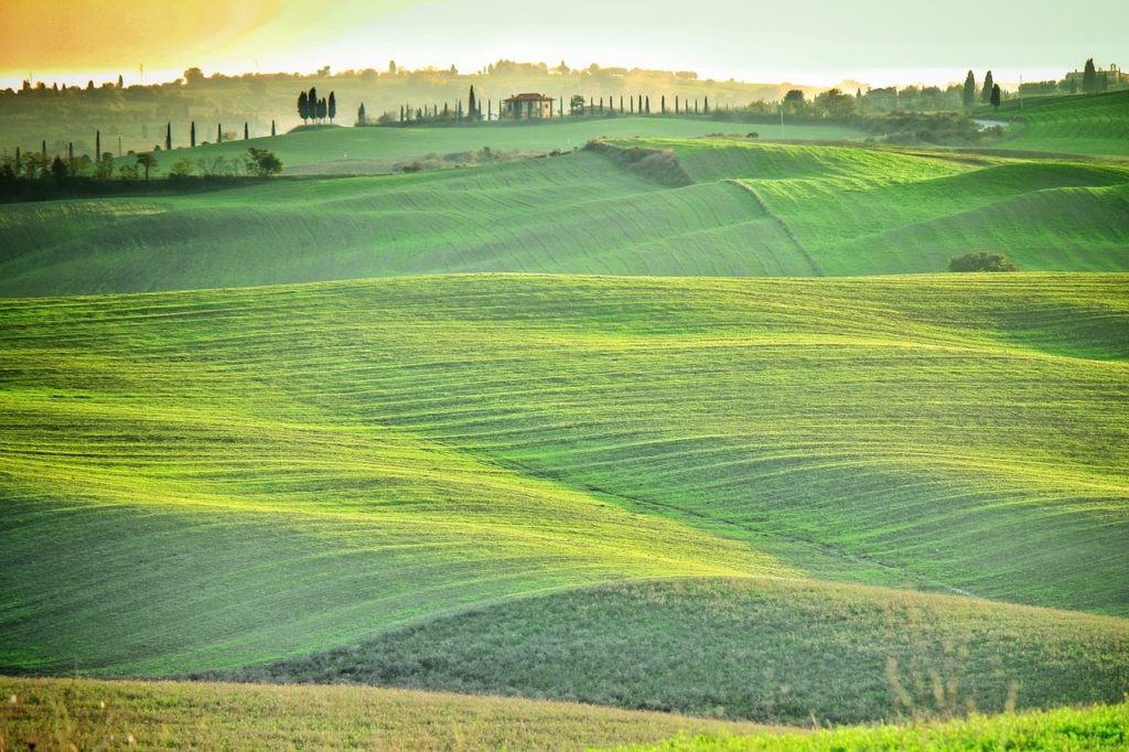 Louer une voiture en Toscane